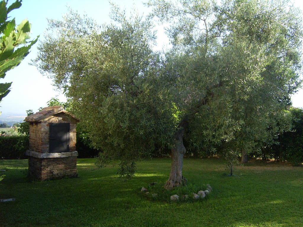 Agriturismo Regno Verde Narni Luaran gambar